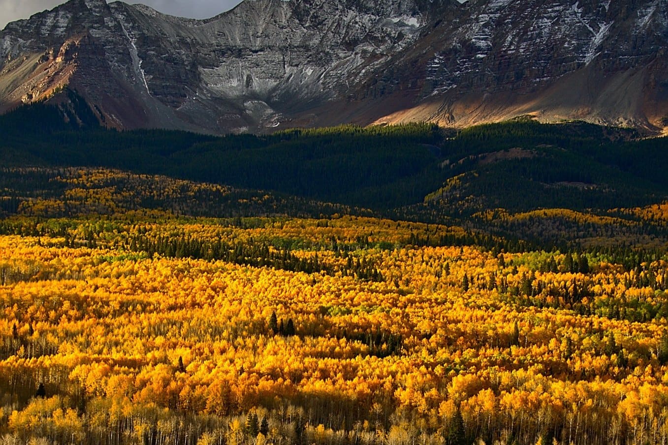 Autumn aspens and evergreens below a Colorado mountain ridge at golden hour. Illustrative editorial scene, not a specific property, parcel, or water source.