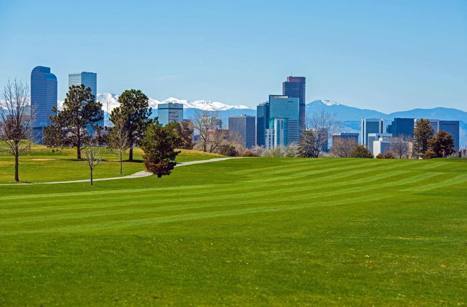 The downtown Denver skyline seen across a mown park lawn, with the snow capped Front Range rising behind the buildings.